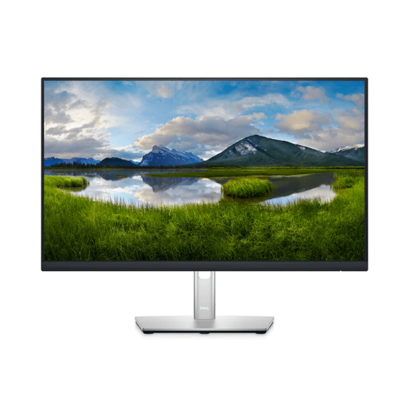 Màn hình Dell P2422H, 23.8 inch FHD IPS 1 P2422H