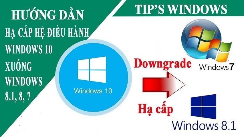 Cách hạ cấp Windows 10 xuống Win 7/8/8.1 an toàn đơn giản 1 Cách hạ cấp Windows 10 xuống Win 7/8/8.1 an toàn đơn giản
