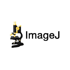 Tải Imagej 2024 ✅ Link Google [Đã Test 100%] Và Hướng Dẫn Cài Đặt Full
